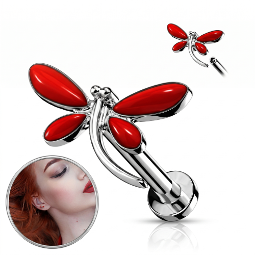 Kolczyk do wargi lub chrząstki ucha z ważką piercing labret.png