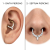 Kolczyk kółko clicker Marquise z cyrkoniami septum daith helix.png