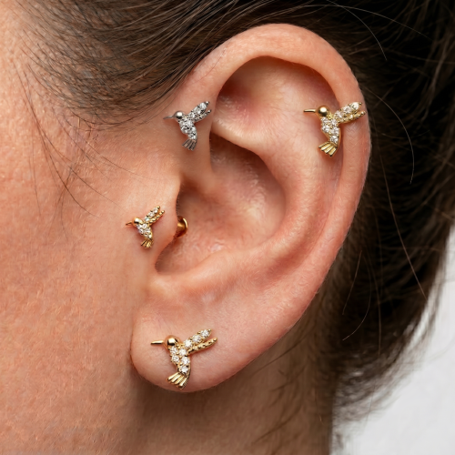 Kolczyk-Ptaszek-Koliber-ze-Stali-Chirurgicznej-do-uszu-chrzastki-piercing-helix-tragus.png