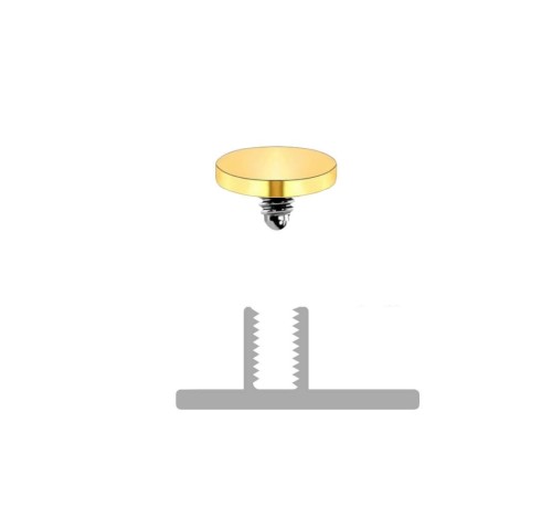 zlota-nakladka-microdermal-plaski-dysk-4mm-tytan-g23-gwint-1-2 (2).jpg