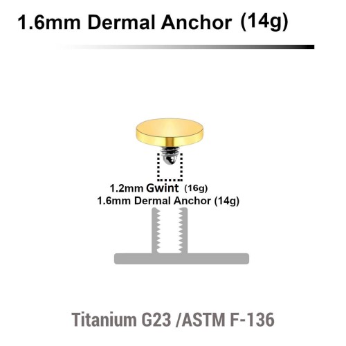 zlota-nakladka-microdermal-plaski-dysk-4mm-tytan-g23-gwint-1-2 (1).jpg